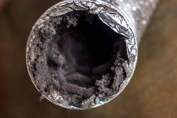 Best Duct Cleaning Specialists  in North Caldwell, NJ